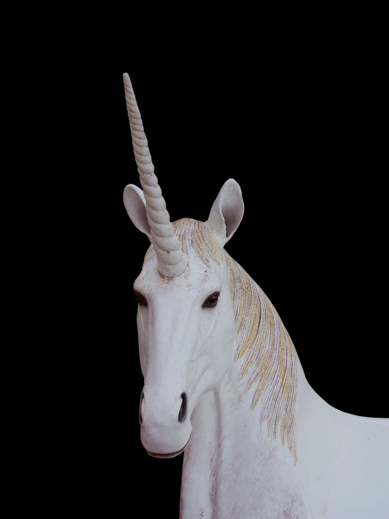 Unicorn Petting